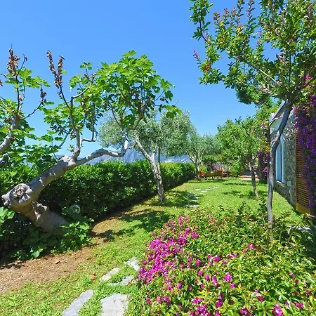 Maria Villa *